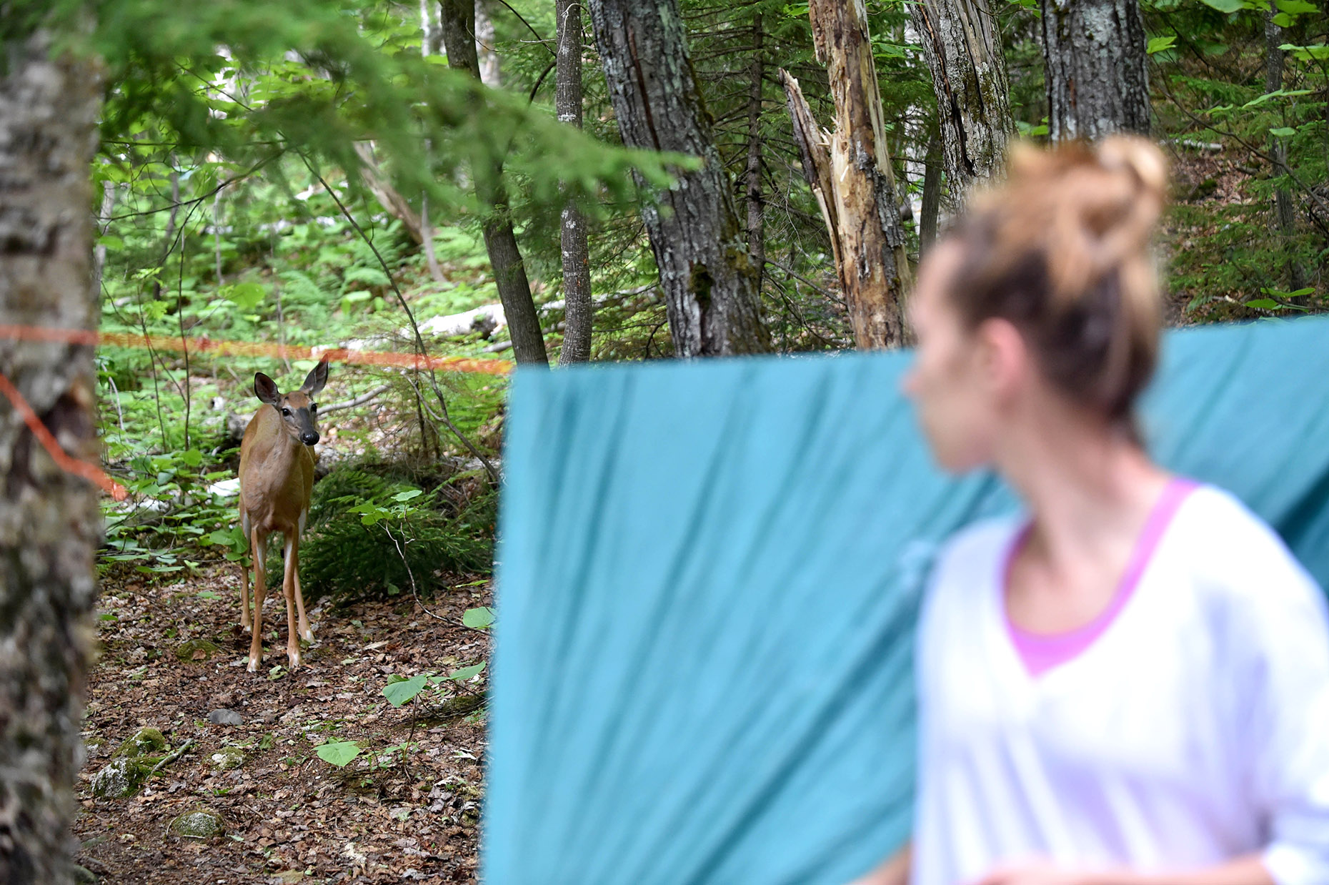 Outdoors016.JPG